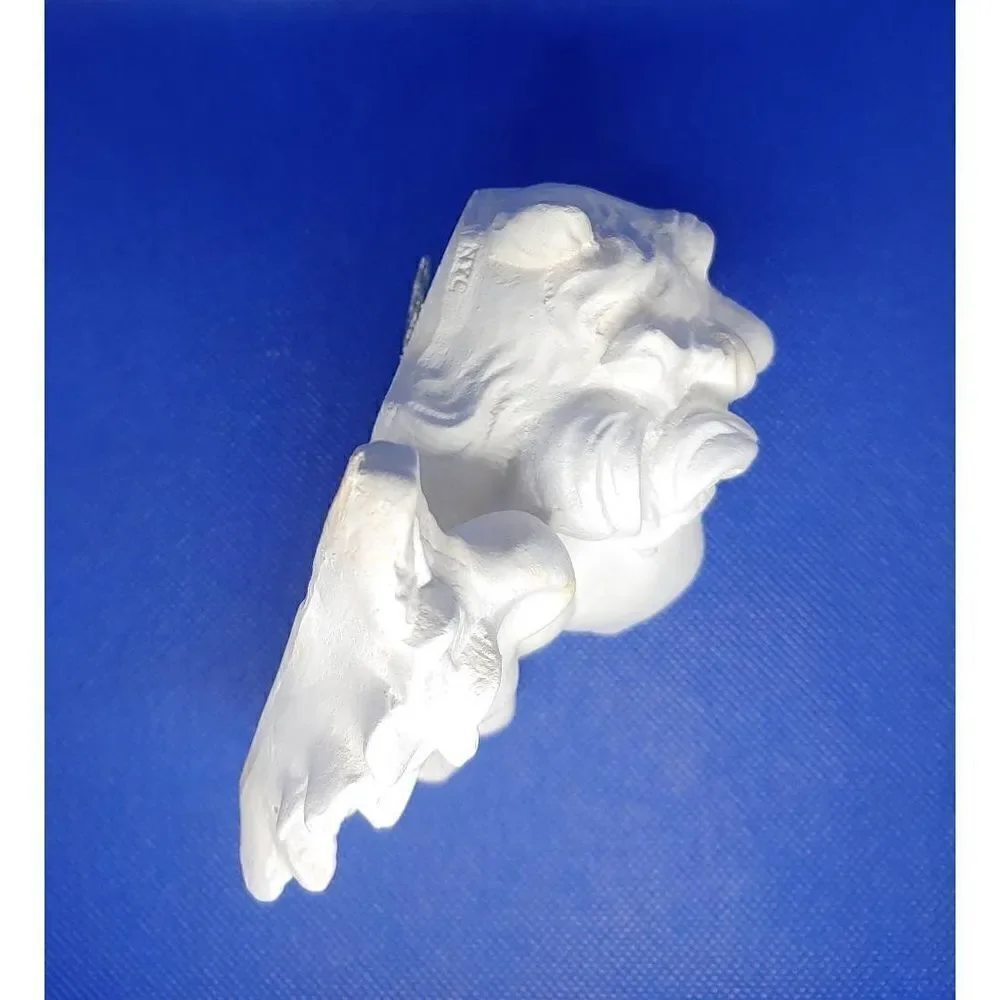 Raw Plaster Cherub Bust With Wings